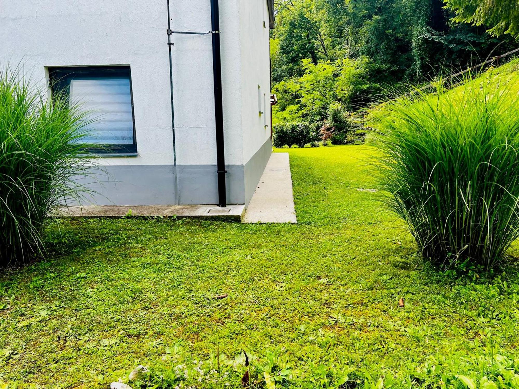 Relax In Nature Apartment 博维茨 外观 照片